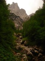 2014-08-02_06FritzPflaum-Steig (406).JPG